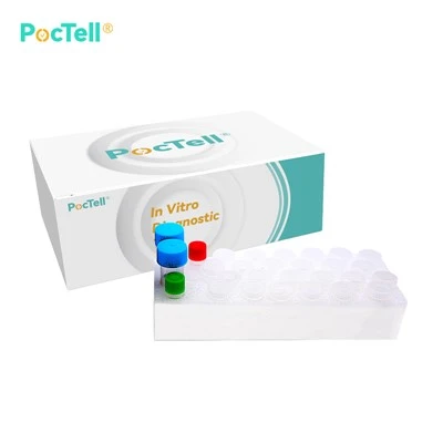 Mycobacterium tuberculosis PCR Kit